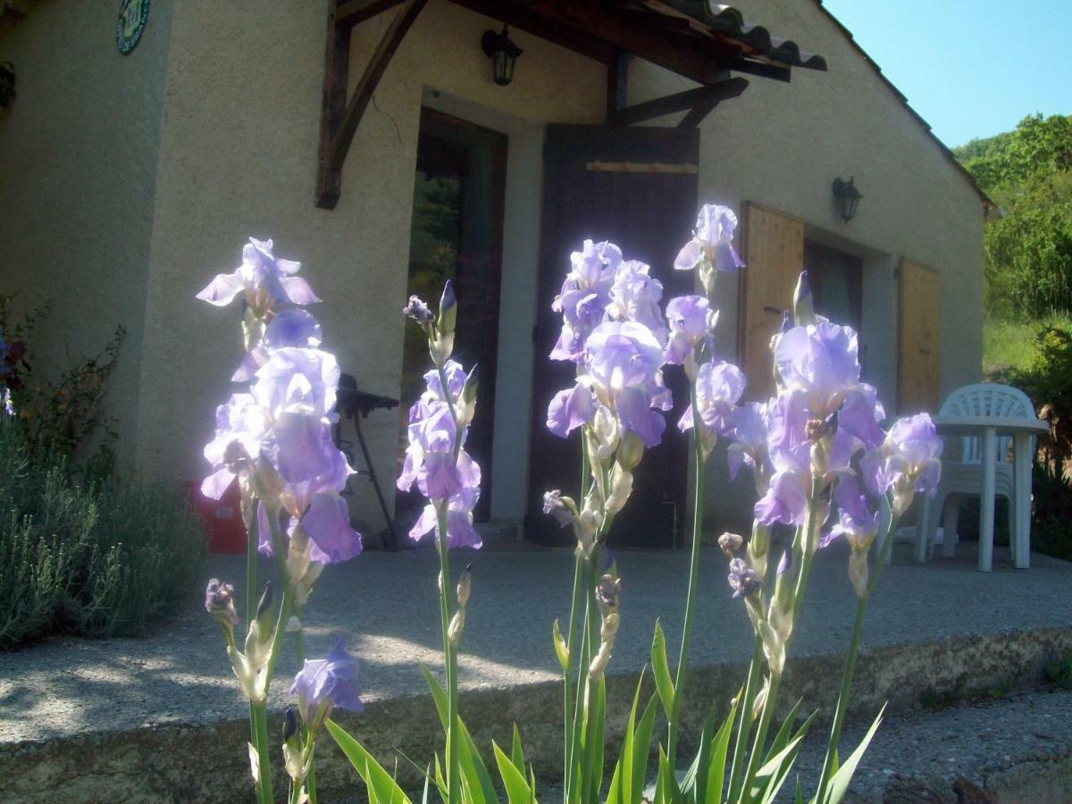 Gite Les Iris La Robine-sur-Galabre Kültér fotó